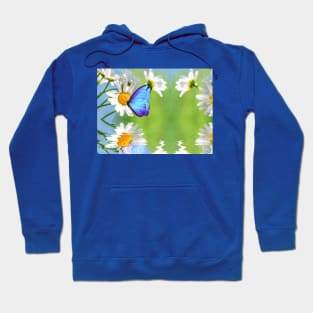 Blue Morpho Butterly and Daisies Hoodie